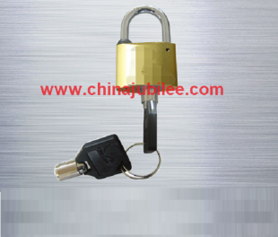 Padlock with Plum Blossom Key