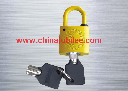 Padlock with Plum Blossom Key