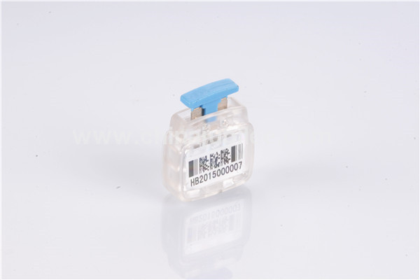 RFID Seal